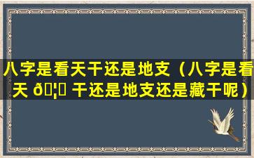 八字是看天干还是地支（八字是看天 🦟 干还是地支还是藏干呢）